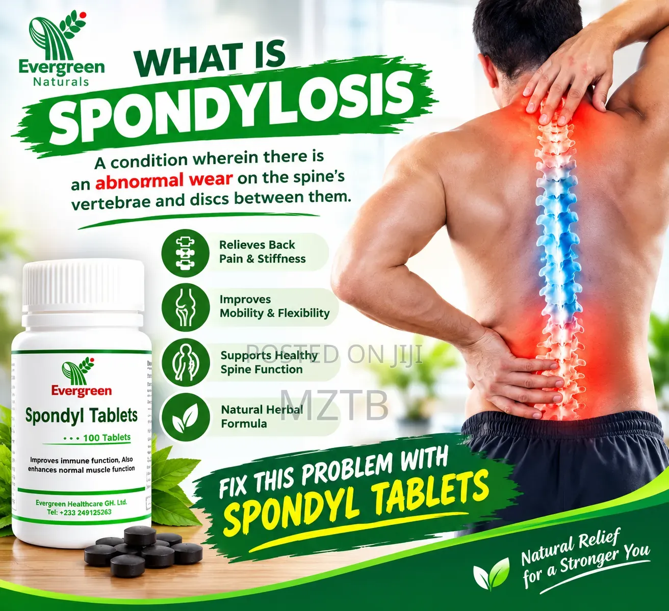 Spondyl Tablets - 100tabs