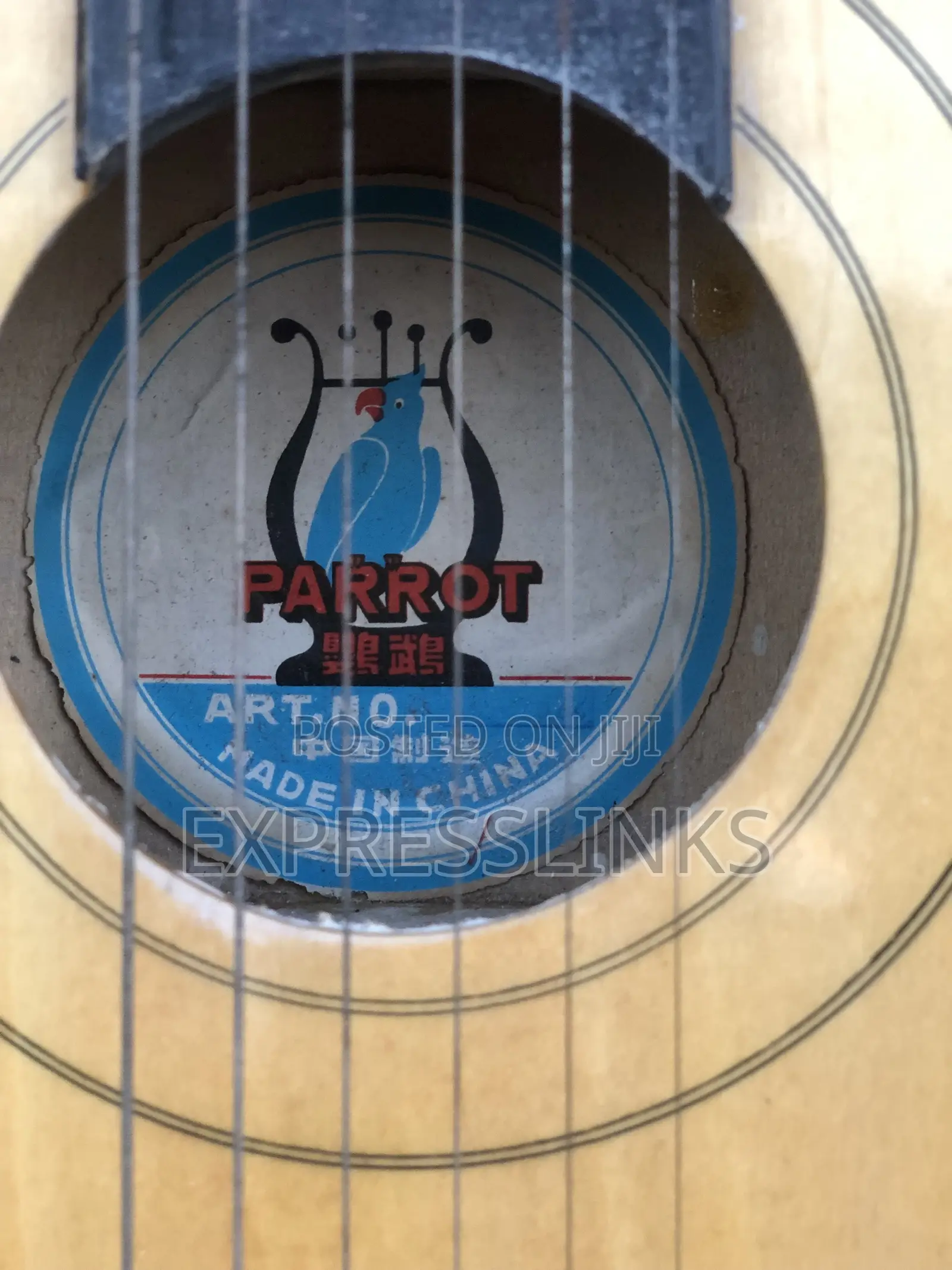 Classical Acoustic Guitar