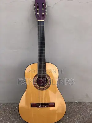 Classical Acoustic Guitar