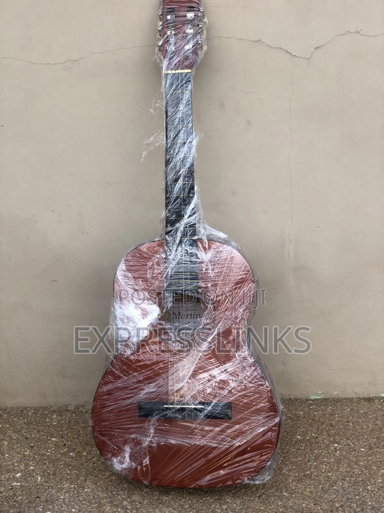 Classical Acoustic Guitar