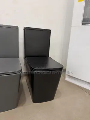 Matte Black Designed Water Closet