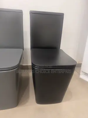 Matte Black Designed Water Closet