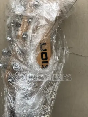 *Ion Electric Lead Guitar