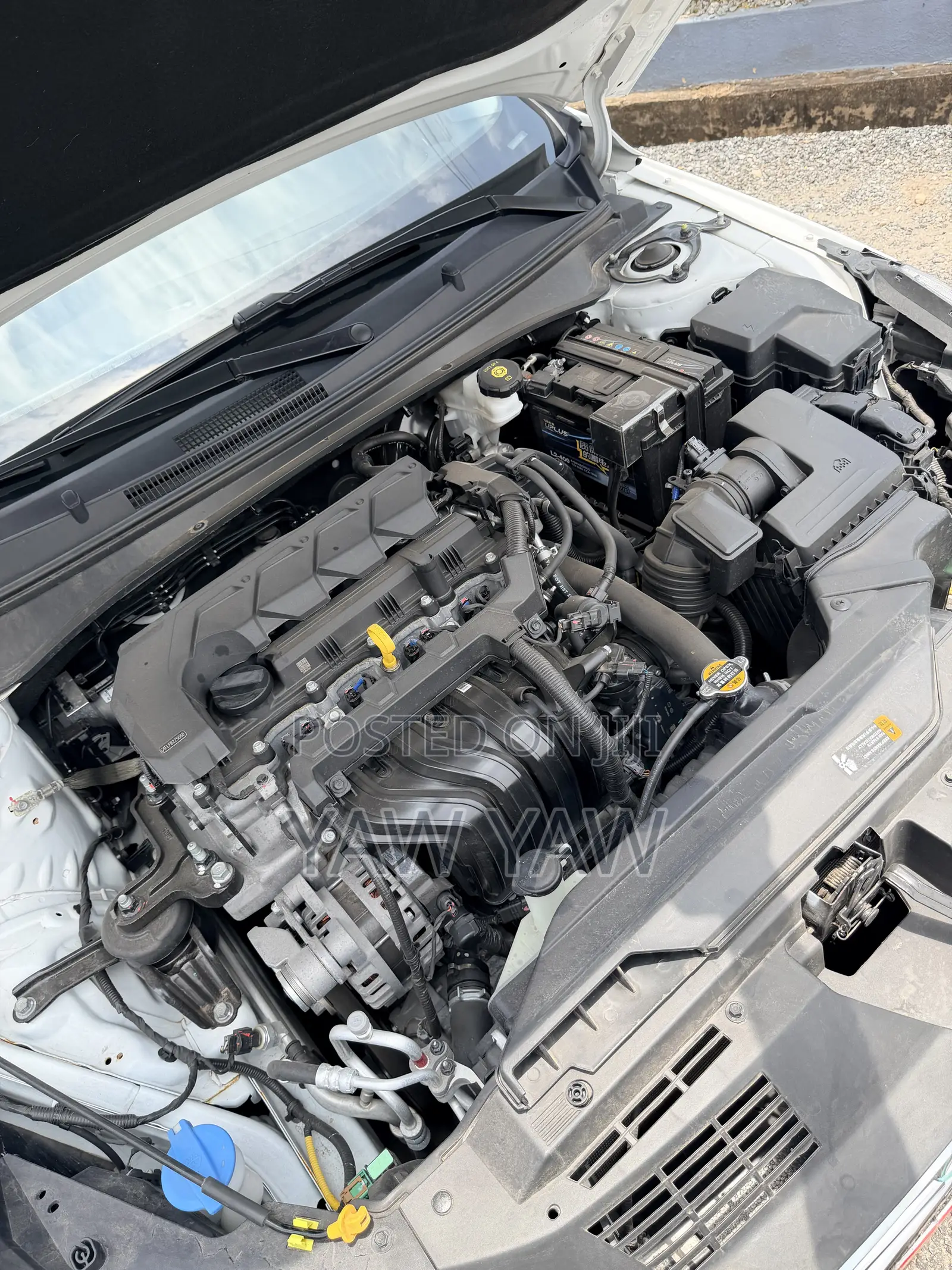 Hyundai Elantra 2023 White