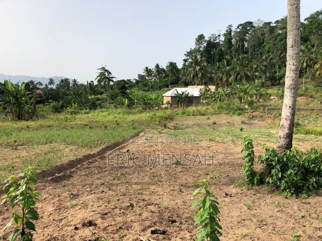 Plots of Land
