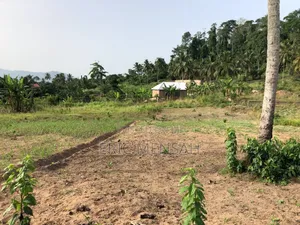 Plots of Land