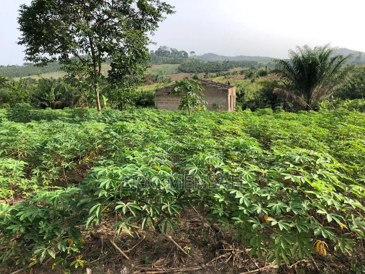 Plots of Land
