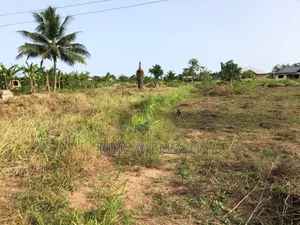 Plots of Land
