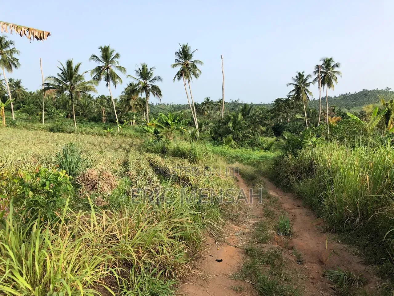 Plots of Land