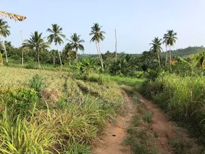 Plots of Land