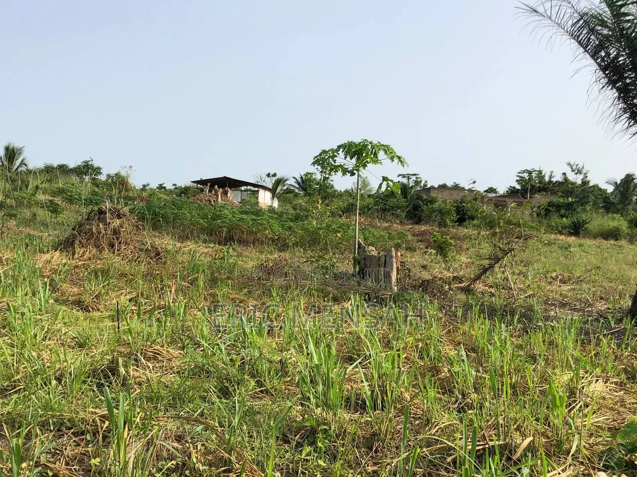 Plots of Land