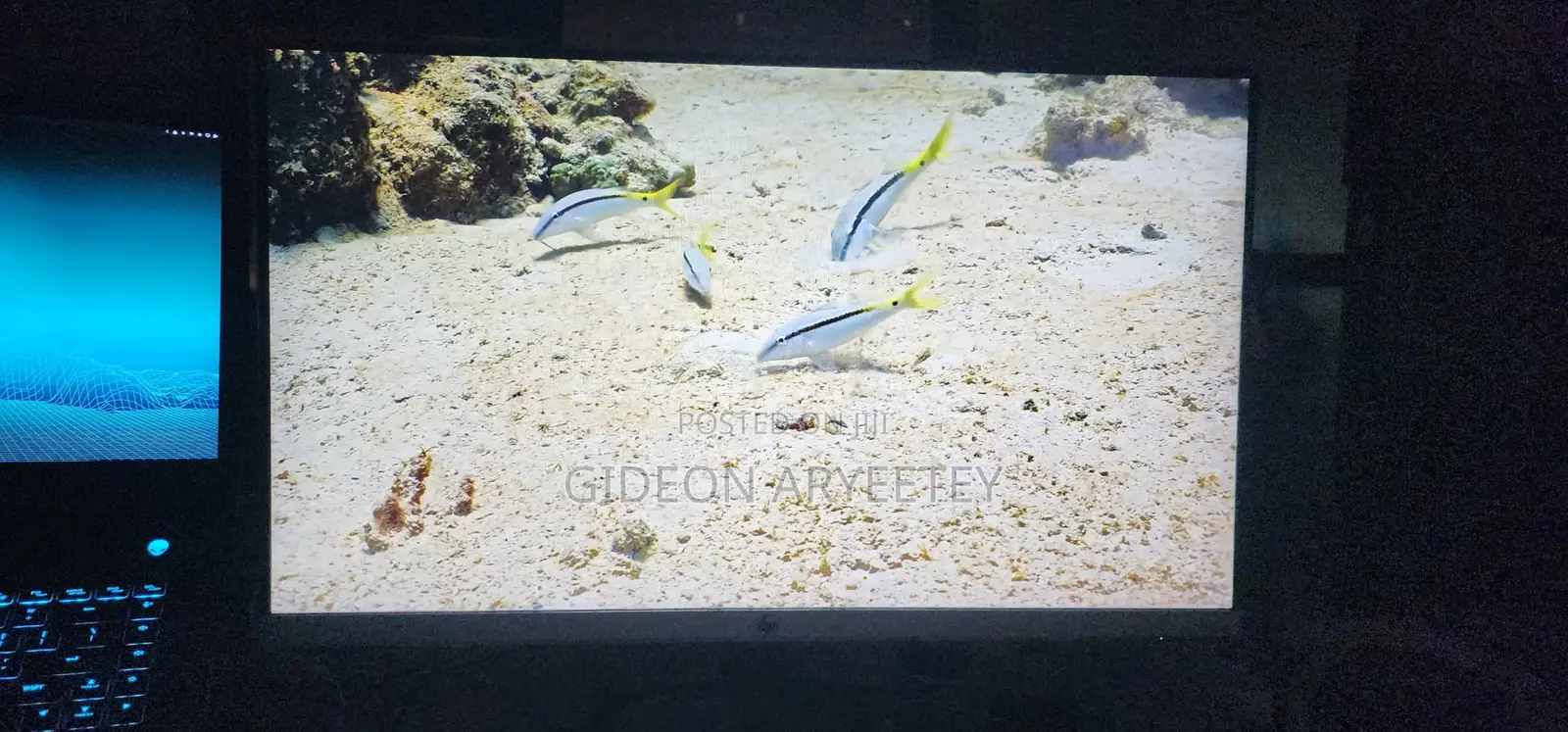 Slightly Used HP 27f Monitor