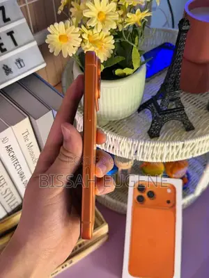 Apple iPhone 17 Pro Max 256 GB Orange