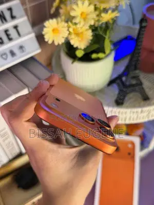 Apple iPhone 17 Pro Max 256 GB Orange