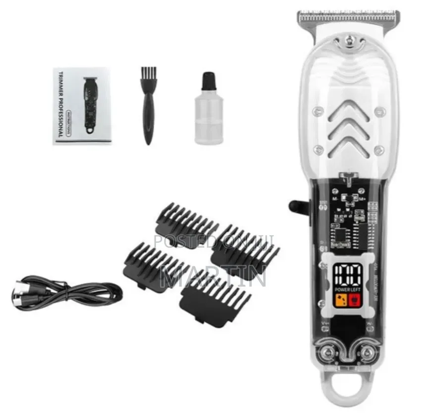 Electric Shaver