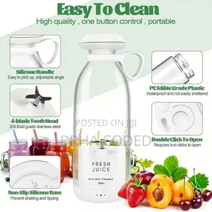 Fresh Juice Portable Mini Fruit Blender 350ml