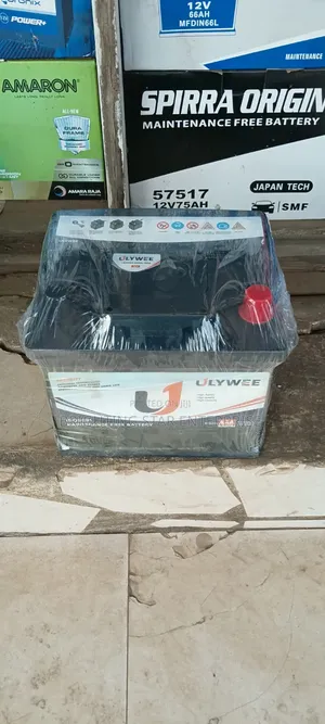 ULYWEE 13 Plate Car Battery