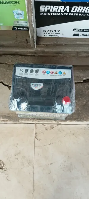 ULYWEE 13 Plate Car Battery