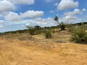 Own a Piece of Tsopoli! Demarcated Land Available for Sale