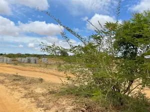 Affordable 70×100 Land for Sale at Tsopoli