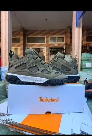 Timberland Motion 6 Low Sneakers
