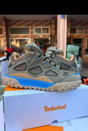 Timberland Motion 6 Low Sneakers