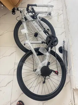 Adult Bicycles
