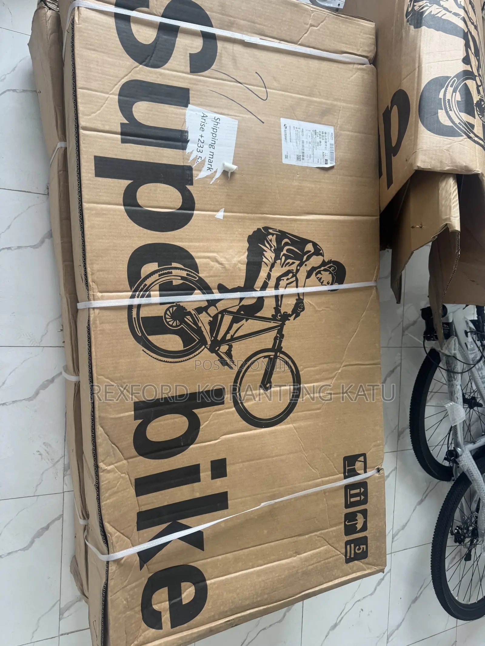 Adult Bicycles