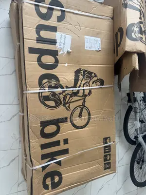 Adult Bicycles