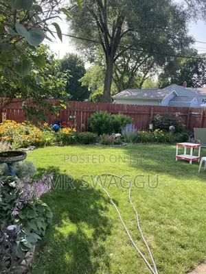 Professional Gardener- Lawn Mowing Weeding in Tema