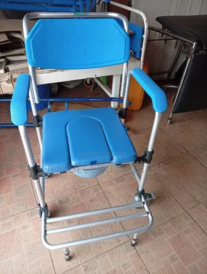 Toilet Seat