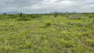 Serviced 70x50ft Half Plot in Fast-Developing Shai Hills Corridor