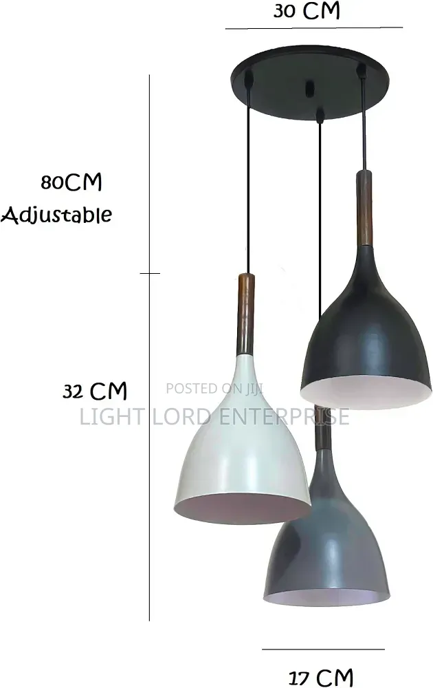 Avior E27 Bulb Hanging Light 3in1