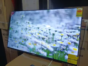 Bring Cinema Home With Asano 55” Smart TV