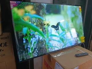 Premium Viewing at Home – Asano 55” Smart TV