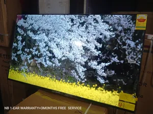 Smart Home 50" Television LED Television.