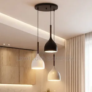 ZSZY-6755 Hanging Light 3in1