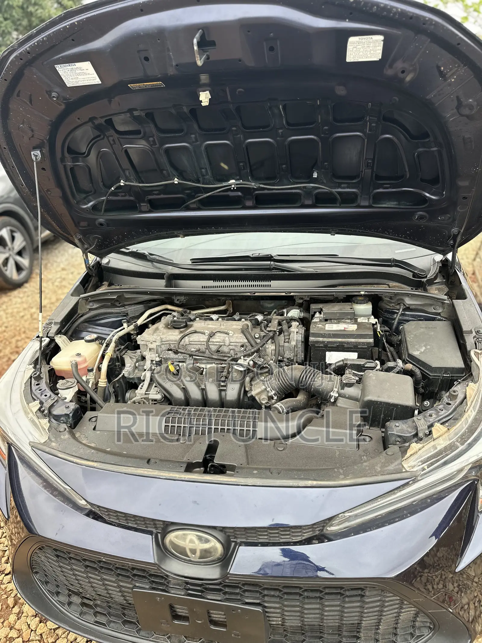 Toyota Corolla 2020 Blue