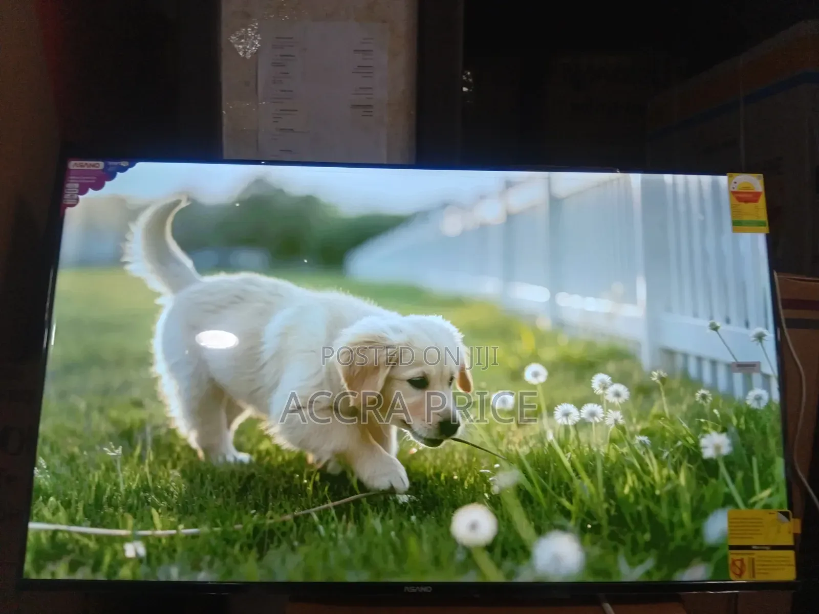 Asano 50" Smart TV – Where Big Screen Meets Big Entertainment