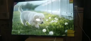Asano Quality Smart TV HDMI Television