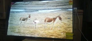 Asano Quality Smart TV HDMI Television