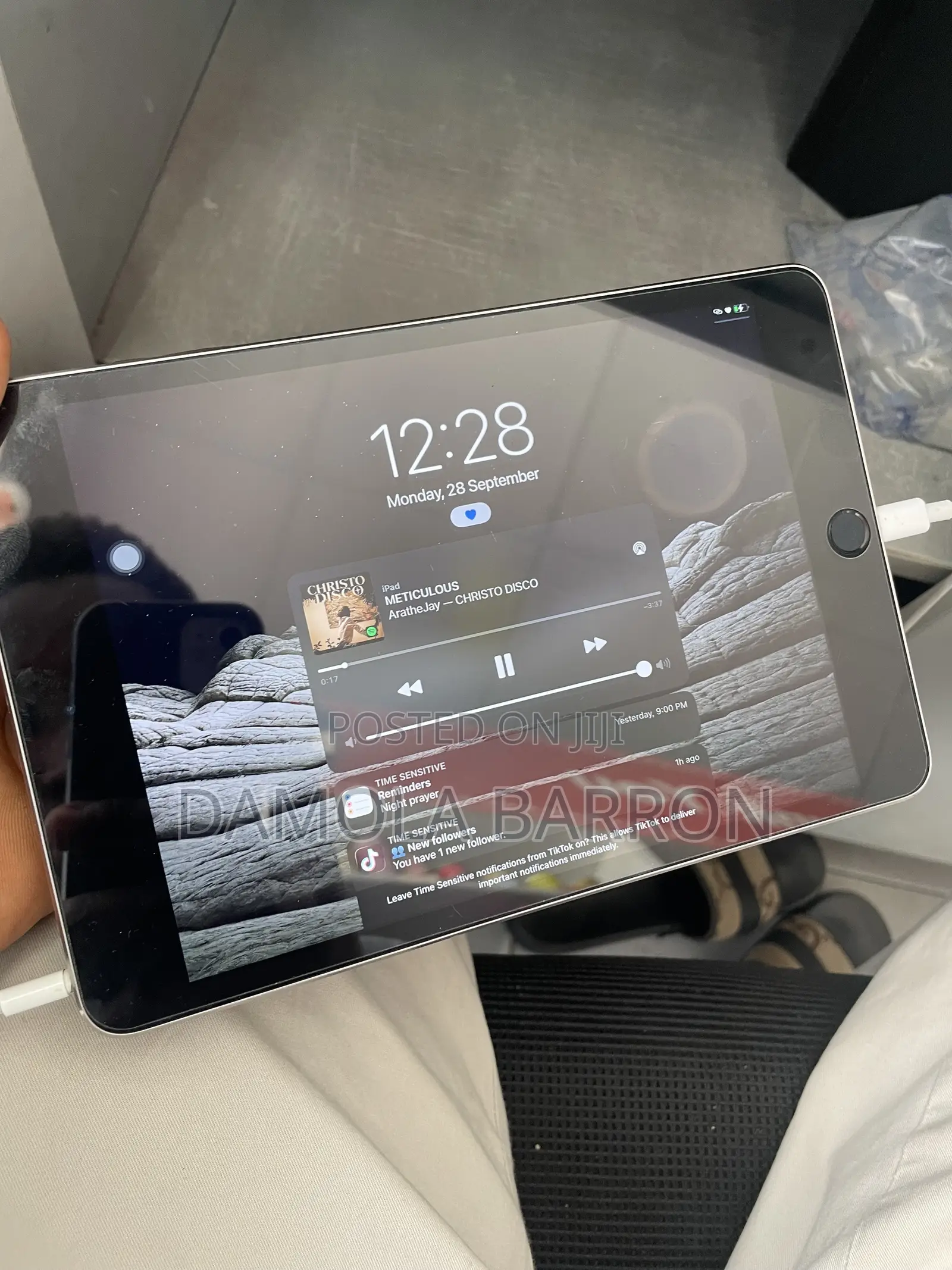 Apple iPad mini 4 16 GB Gray