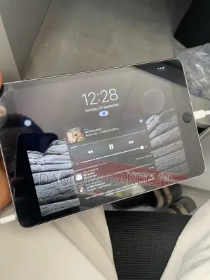 Apple iPad mini 4 16 GB Gray