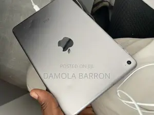 Apple iPad mini 4 16 GB Gray