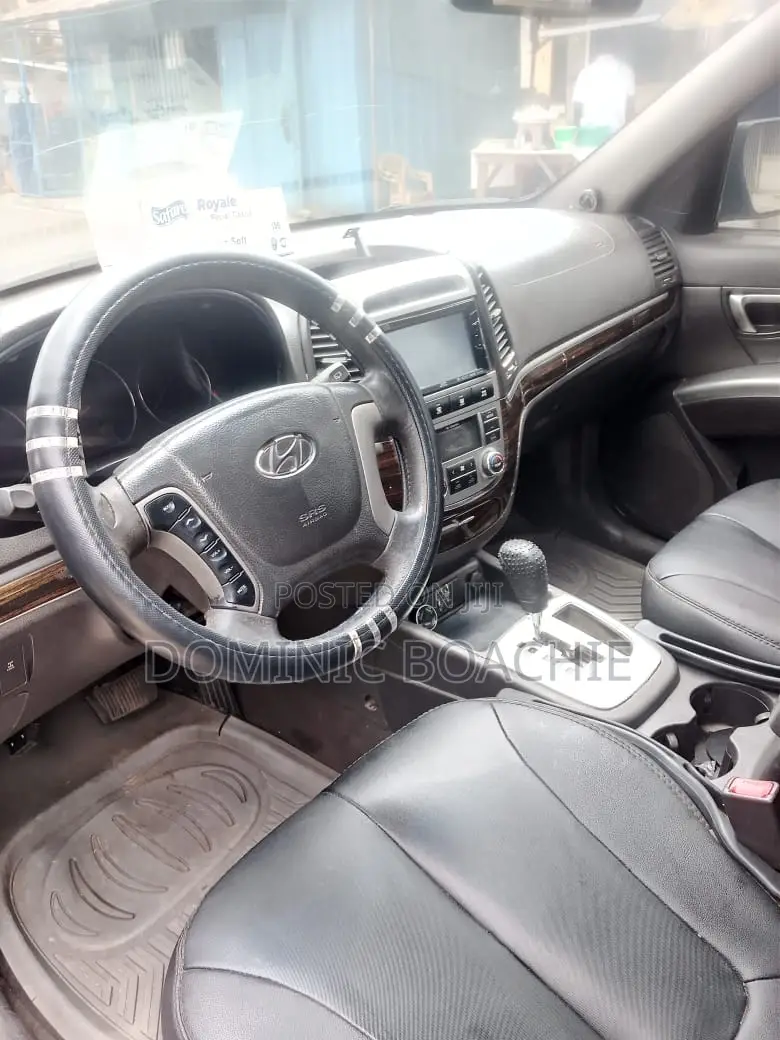Hyundai Santa Fe Limited 2010 Blue
