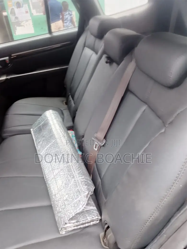 Hyundai Santa Fe Limited 2010 Blue