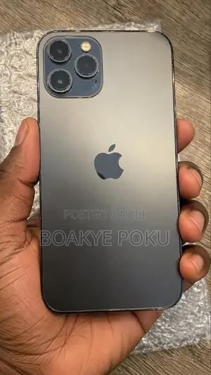 Apple iPhone 12 Pro Max 256 GB Gray
