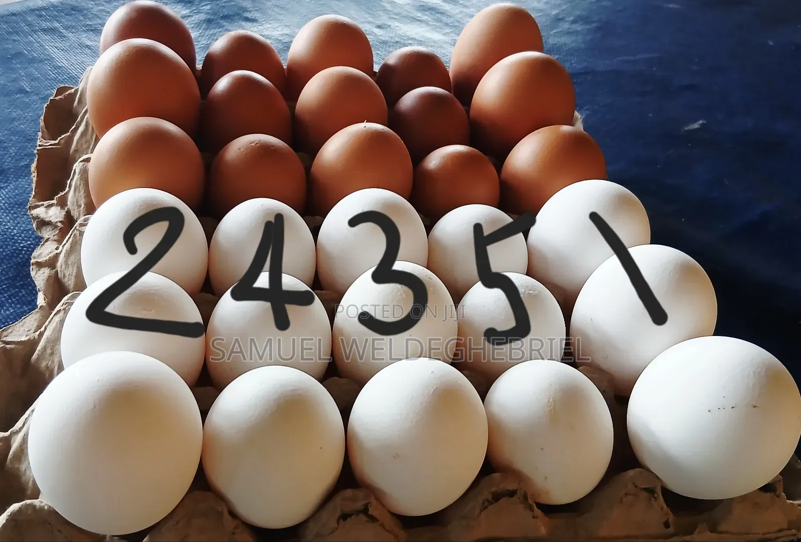 Fresh Clean Eggs