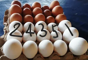 Fresh Clean Eggs