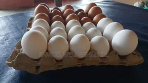 Fresh Clean Eggs